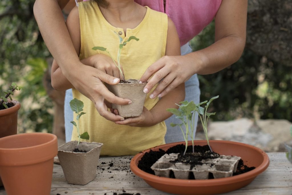 Jardineria para pequeños Bidez Mar