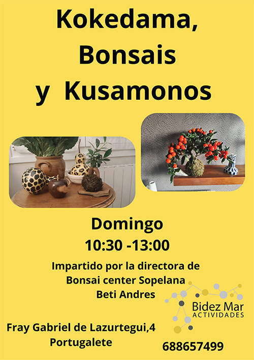 Taller Kokedama, Bonsais y Kusamonos BidezMar Actividades
