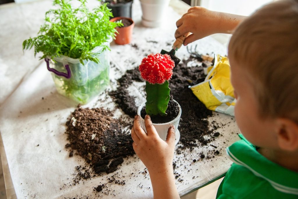 taller jardineria infantil